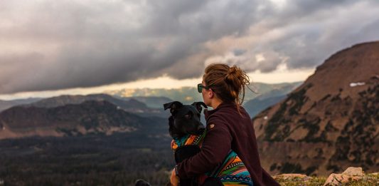 Hiking With Dogs