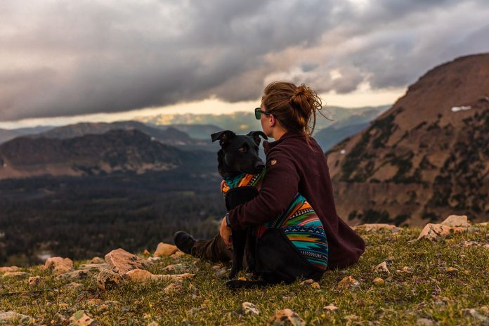 Hiking With Dogs