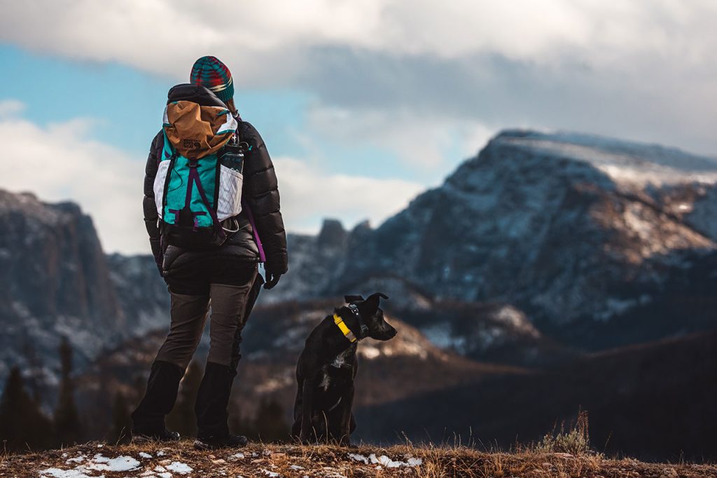 hiking with dogs