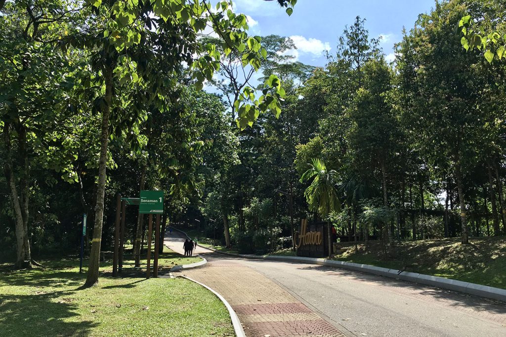 Hiking at Bukit Kiara Park