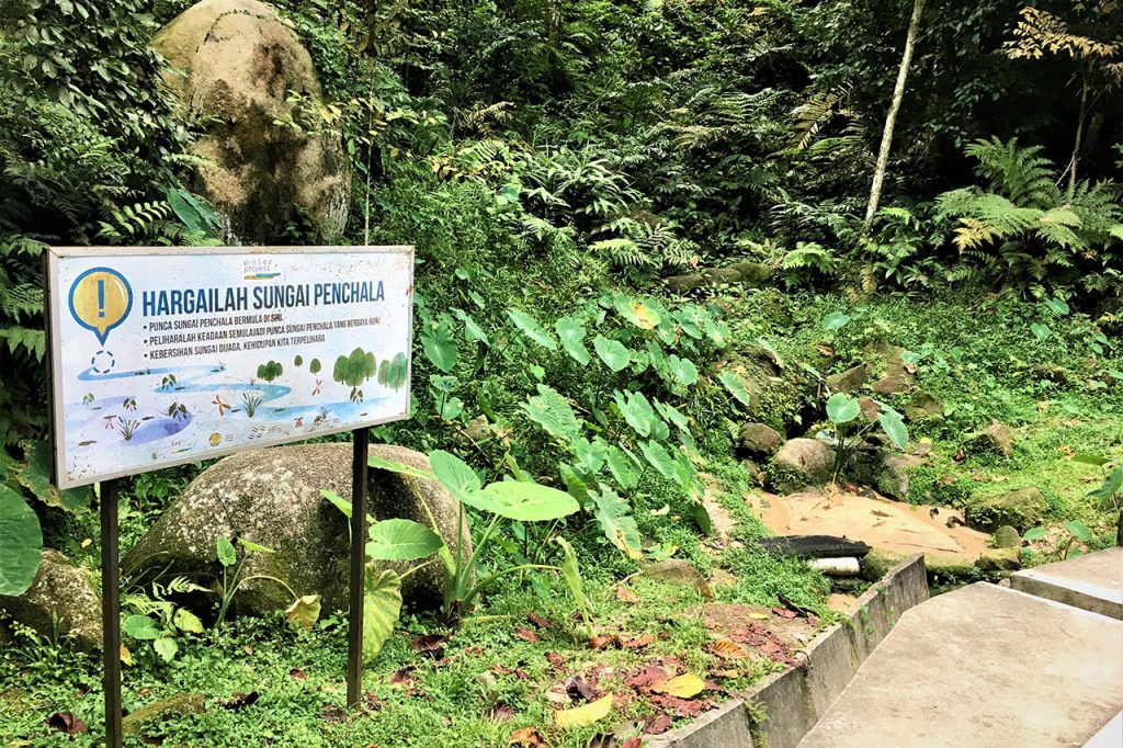 Hiking at Bukit Kiara Park