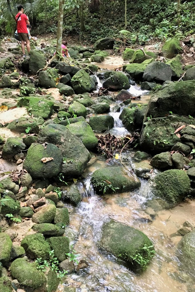 Hiking at Bukit Kiara Park