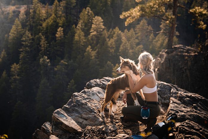 Hiking With Border Collie