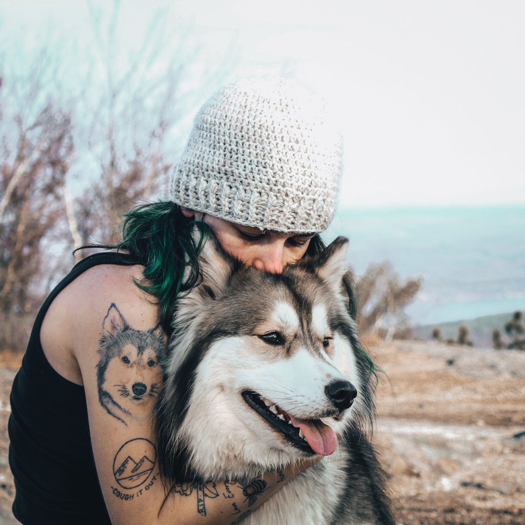 Hiking With an Alaskan Malamute